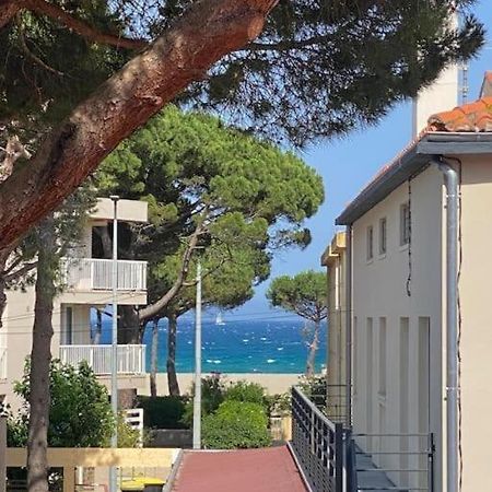 F3 Classe Meuble Tourisme "Gites De France" A 80 Metres De La Plage Argelès-sur-Mer Exterior foto